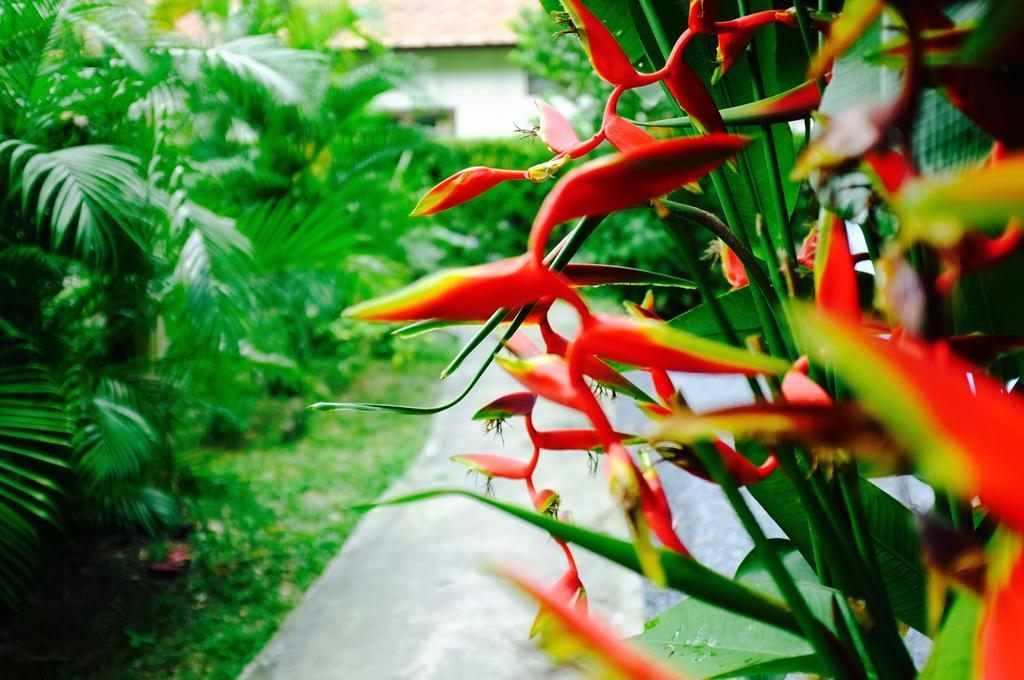 The Nature House Aonang Krabi Thailand Ao Nang 외부 사진